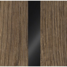 Dub Monastery/Černý lesk