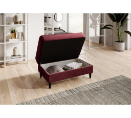 Bellis Loco 25 97x42