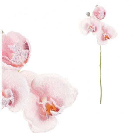Orchidej - umělá řezaná, zasněžená, barva růžová