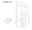Skříň CARINI - CA1, světlý grafit/bílá briliantová/dub nash