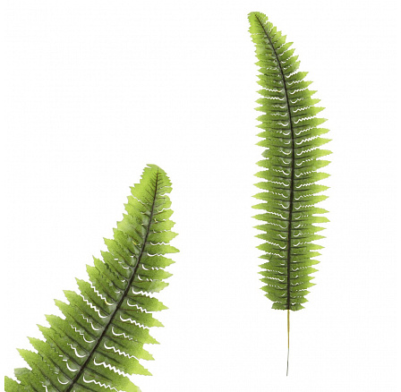 List umělý - kapradí, barva zelená