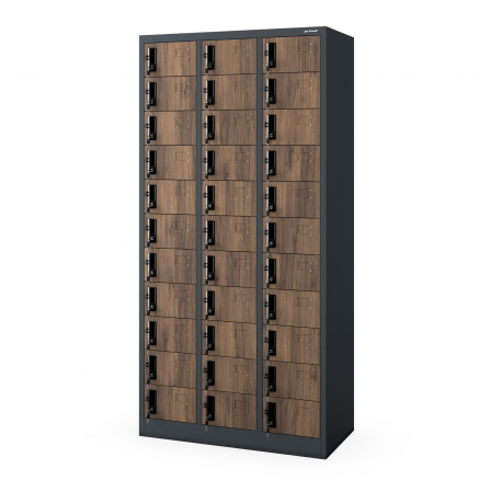 Plechová uzamykatelná šatní skříňka OLIVER, 900 x 1850 x 450 mm, Eco Design: antracitová/ořech