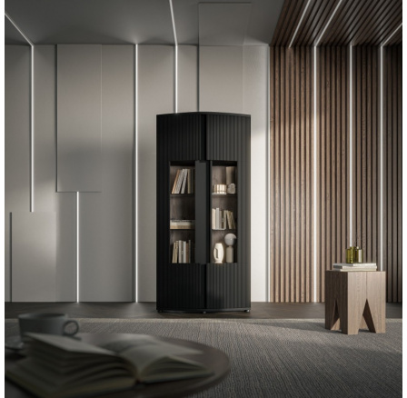 Vitrína MICHELLE 2D, černá/ dub viking