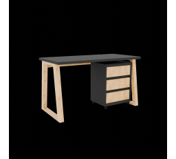 Psací stůl s kontejnerem Iwo I Grafit+Artisan