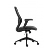 Kancelářské křeslo FB23BJG, Černá/Šedá