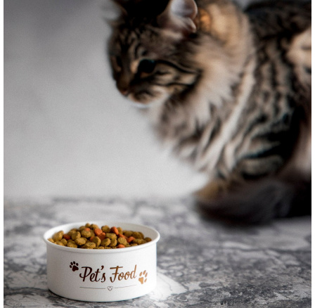 Miska na krmivo pro domácí mazlíčky DINGO 0.5 l 873589