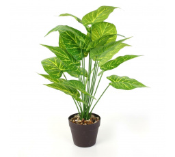 Umělá rostlina Alocasia 55 cm