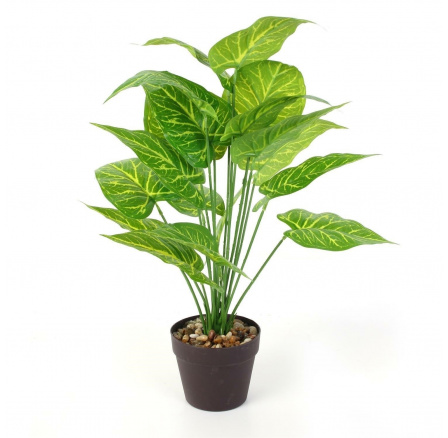 Umělá rostlina Alocasia 55 cm Umělá rostlina Alocasia 55 cm