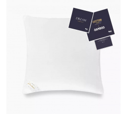 Jasiek polštář husí peří 90% Dream 40x40