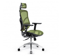 Ergonomické kancelářské herní křeslo Basic, černo-zelená