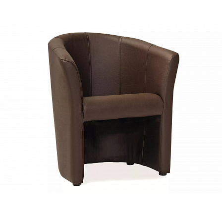 Křeslo TM-1, Hnědá ekokůže EK-18/Wenge Křeslo TM-1, Hnědá ekokůže EK-18/Wenge