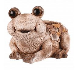 Žába - obal na květiny, magnesium, dekor dřeva