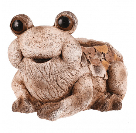 Žába - obal na květiny, magnesium, dekor dřeva