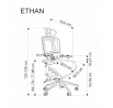 Kancelářské křeslo ETHAN, jasan / černá