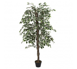 Umělá rostlina Benjamin 170 cm