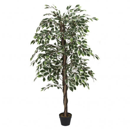 Umělá rostlina Benjamin 170 cm