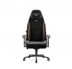 Herní křeslo černé Eye 2.0 Ultra Black