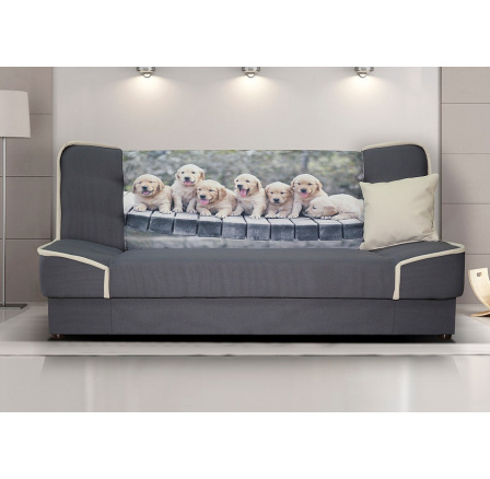 Pohovka Rallye, štěňata Pohovka Rallye, štěňata