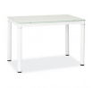 Jídelní stůl GALANT, 110x70 cm, bílý