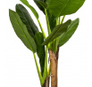 Umělá rostlina Banánovník 160 cm