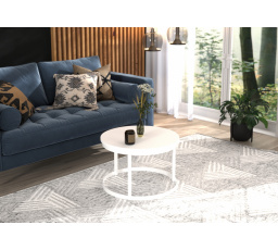 Konferenční stolek RINEN Bílý+Bílý