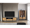 TV komoda TOSCANIA 06, dub Baltic Dune / černý jasan Portland