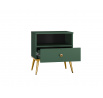 Noční stolek FOREST 06, Labrador/Zlatá