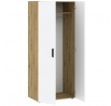 Šatní skříň BASIC TWO 2D, Dub Artisan/Bílá