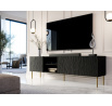 Tv komoda JUNGLE RTV, černá matná/černá matná