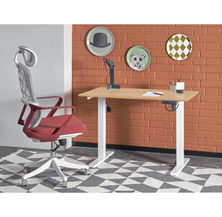 Psací stůl B53, dub artisan / bílý