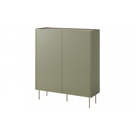 Komoda DESIN 120 2D2SZ, Olivová/Dub nagano Komoda DESIN 120 2D2SZ, Olivová/Dub nagano