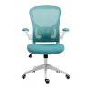 Kancelářské křeslo FB21WJG, Tyrkysová