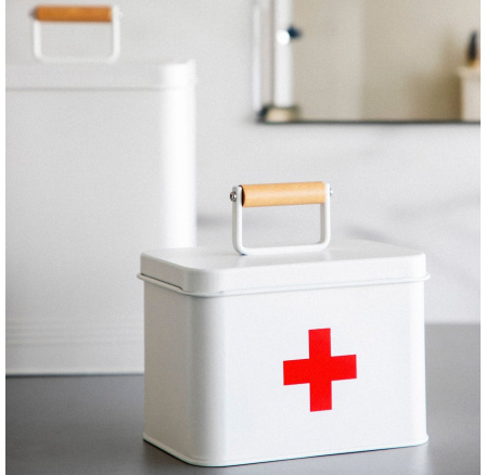 GARNE kovová lékárnička 16.5x11x11.5 cm 869384 GARNE kovová lékárnička 16.5x11x11.5 cm 869384