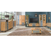 Tv komoda LOFTER - LO7, Dub Wotan + Beton Millenium