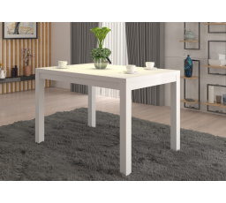 Konferenční stolek OLAF 2 120x80 Bílý