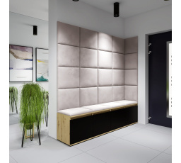 Předsíňová stěna EMI 3, Trinity 01/Artisan+černá