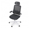 Kancelářská židle, houpací mechanismus, šedá síťovina, KA-Q843 GREY