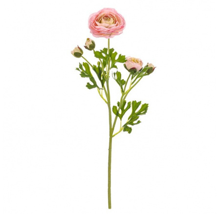 Ranunculus - umělý řezaný, květy s poupaty, světle růžový Ranunculus - umělý řezaný, květy s poupaty, světle růžový