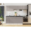 Kuchyňská horní skříňka Femme KL100 2D+P, šedý lesk