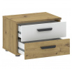 Noční stolek BASIC TWO 2S, Dub Artisan/Bílá