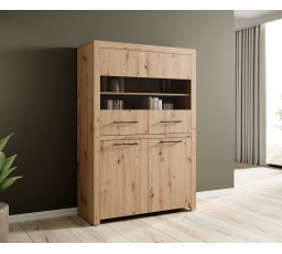 Nízká vitrína JANEZ Artisan+Černá