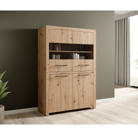 Nízká vitrína JANEZ Artisan+Černá