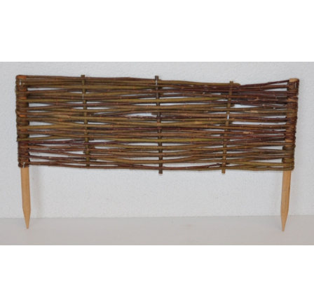 Plůtek vrbový výška 20 cm