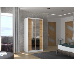 Posuvná skříň se zrcadlem DRAGONIS 100 Bílá+Artisan