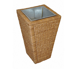 Květník vodní hyacint