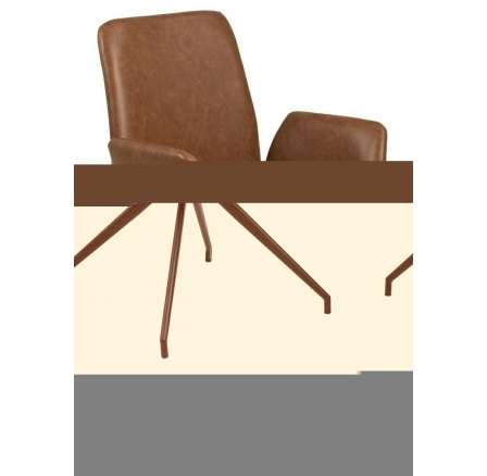 Židle Naya Vintage hnědá Židle Naya Vintage hnědá