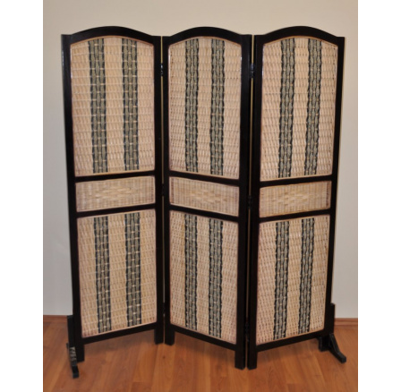 Paravan Aster Paravan Aster