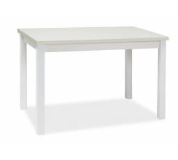 Jídelní stůl ADAM, bílý mat, 100x60 cm