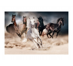 Obraz  HORSES 120X80