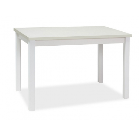ADAM TABLE WHITE MAT 100x60